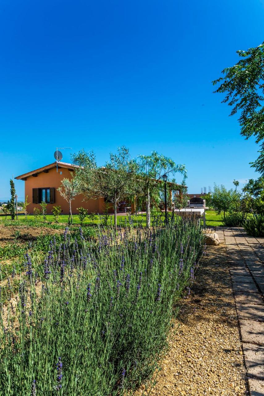 Agriturismo Poggio Di Maremma بيشا رومانا المظهر الخارجي الصورة