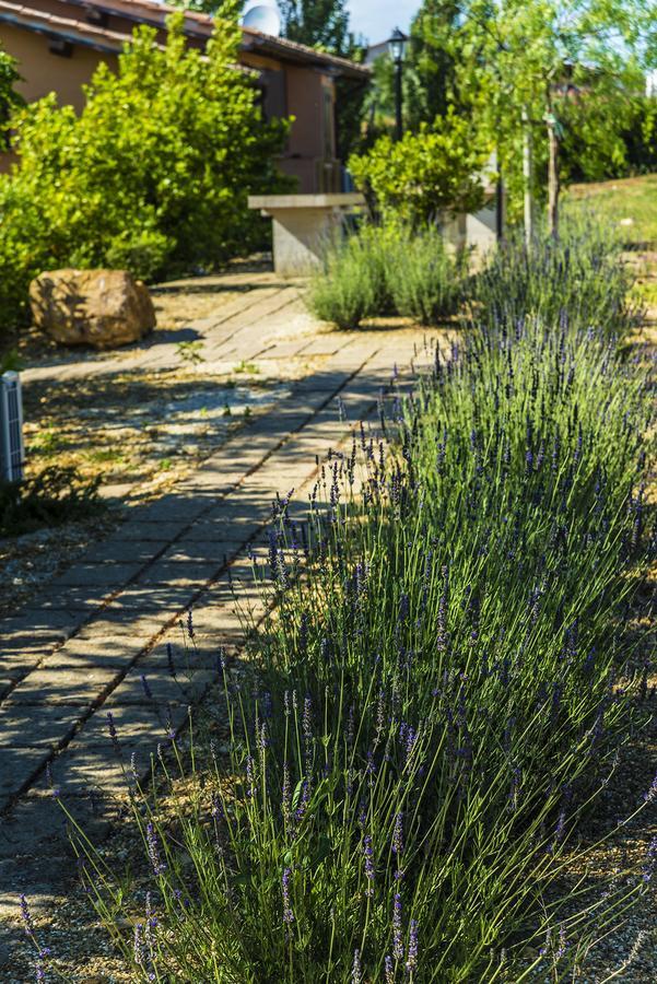 Agriturismo Poggio Di Maremma بيشا رومانا المظهر الخارجي الصورة